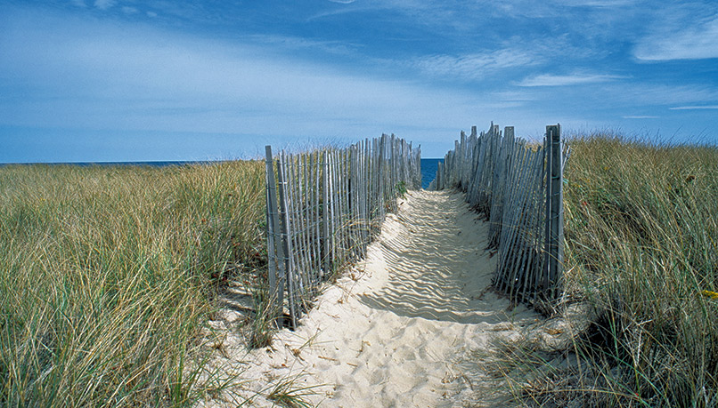 Bmti-marthasvineyard-biking-6